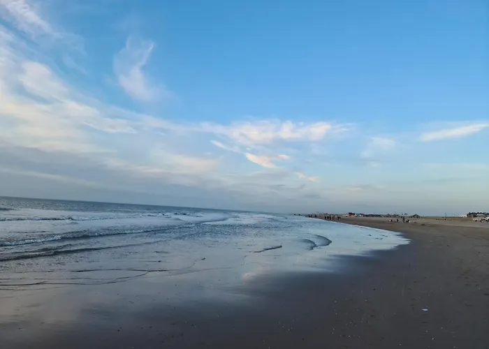 Tamar 2